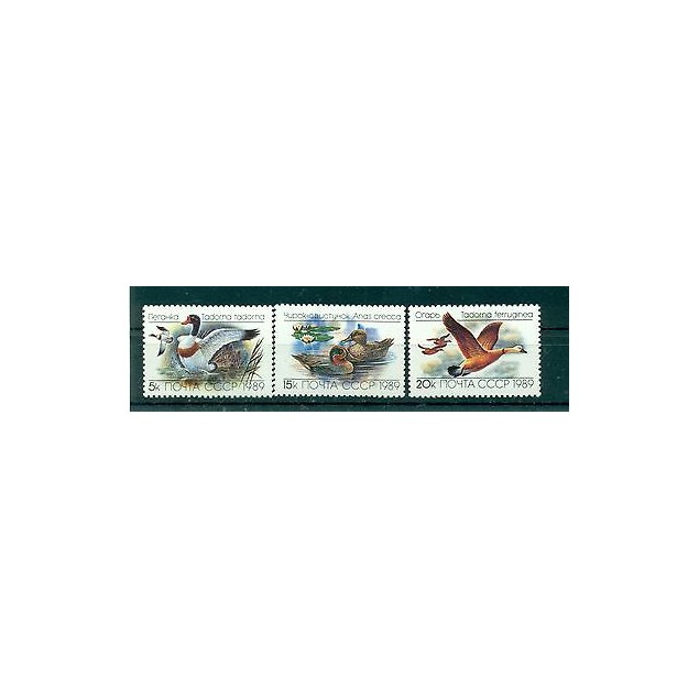 Russie - USSR 1989 - Michel n. 5965/67 - Canards et oies